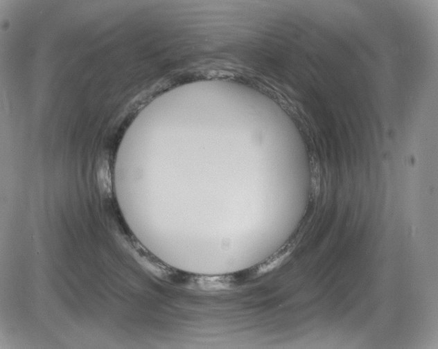 X0000084530622200702230840