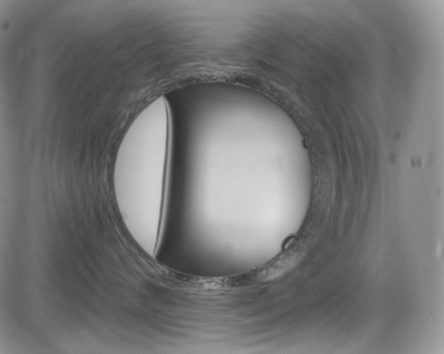 X0000084530624200702230840