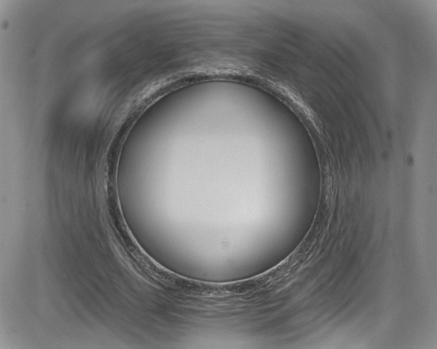 X0000084530631200702230839