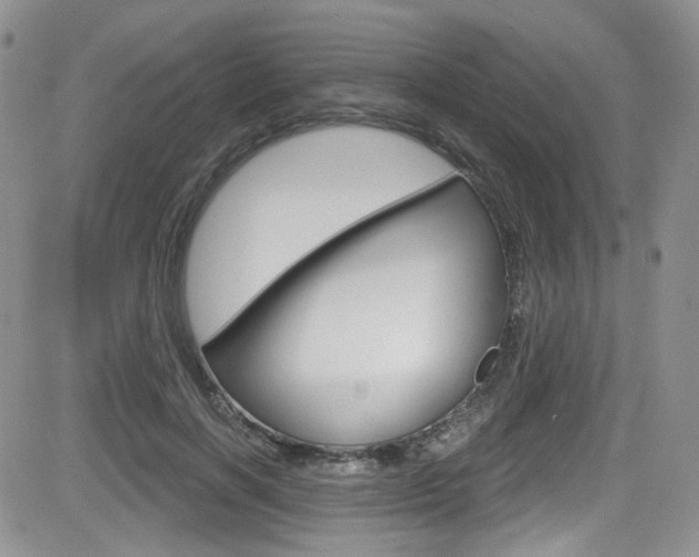 X0000084530646200702230839