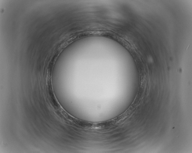 X0000084530647200702230839