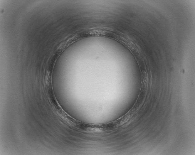 X0000084530649200702230839