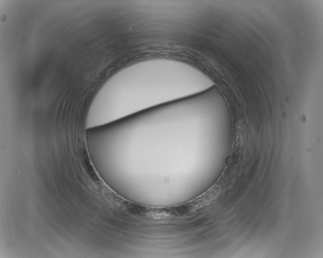 X0000084530650200702230839