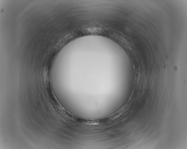 X0000084530651200702230839
