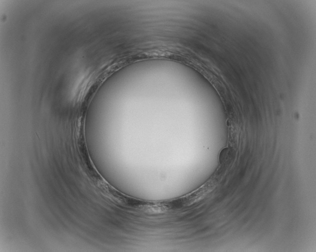 X0000084530652200702230839