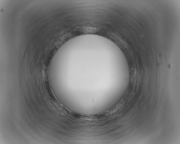X0000084530655200702230839