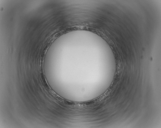 X0000084530656200702230839