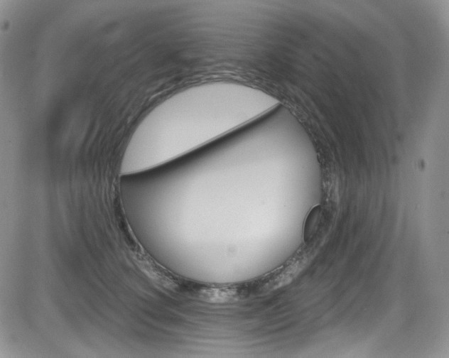 X0000084530660200702230839