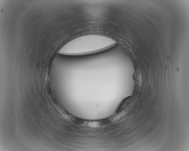 X0000084530665200702230840