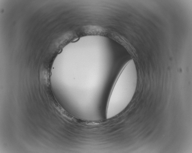 X0000084530669200702230840