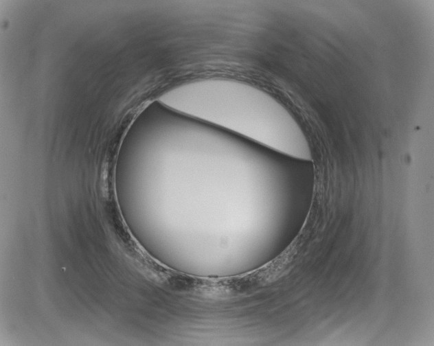 X0000084530696200702230839