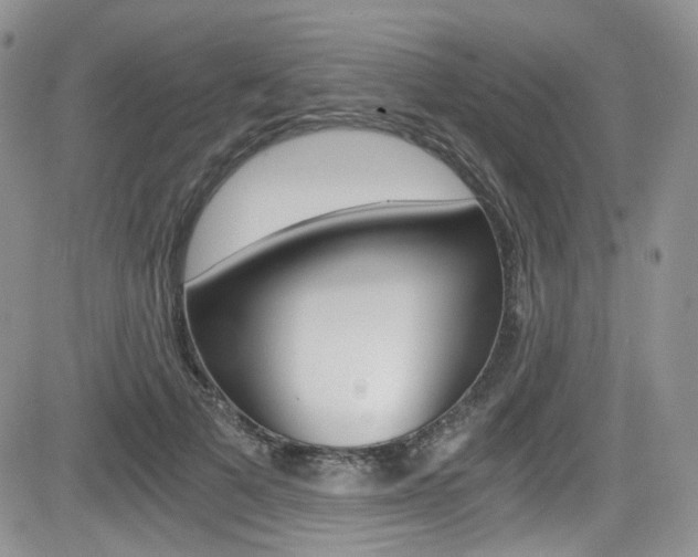 X0000084530697200702230838