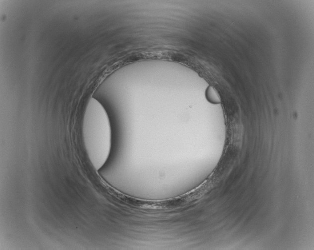 X0000084530699200702230838