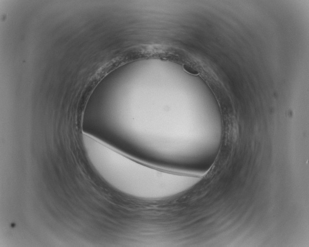 X0000084530700200702230838