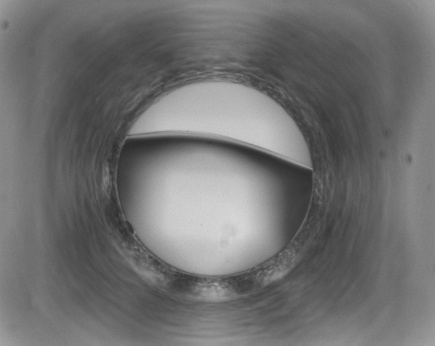 X0000084530704200702230838