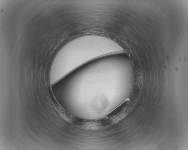 X0000084530708200702230838