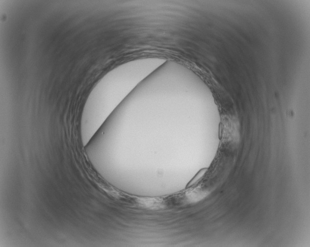 X0000084530713200702230838