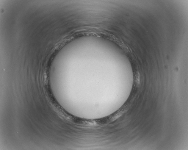 X0000084530715200702230838