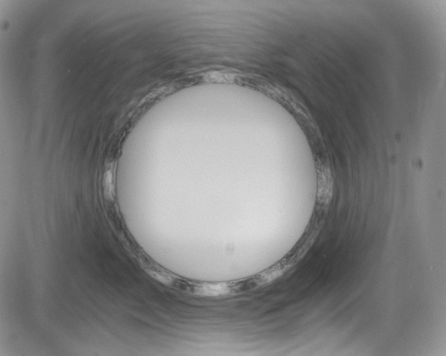 X0000084530717200702230838