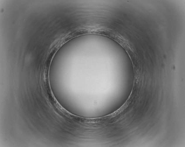 X0000084530740200702230838