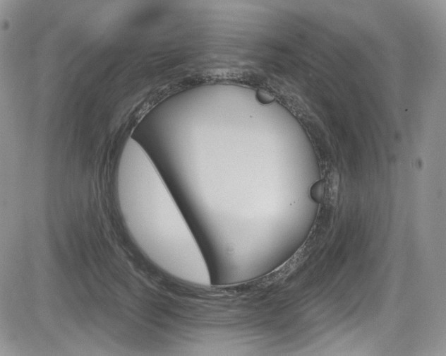 X0000084530746200702230838