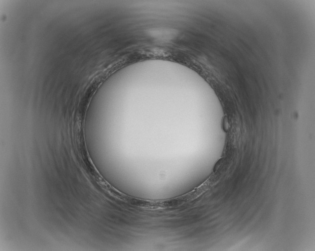 X0000084530747200702230838