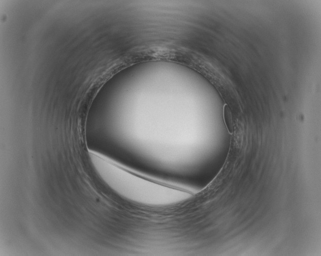 X0000084530748200702230838
