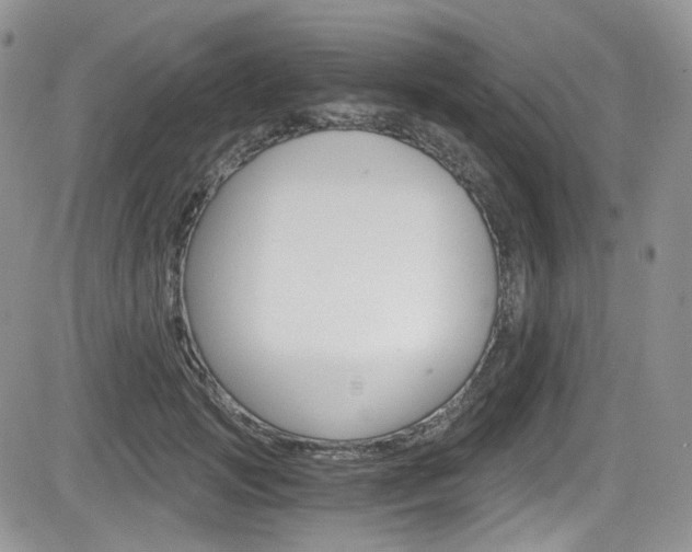 X0000084530749200702230838