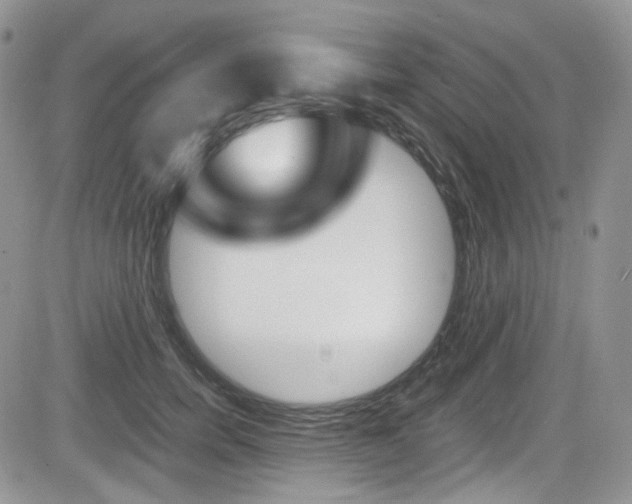 X0000084530750200702230838