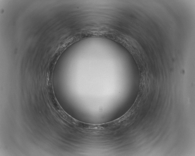 X0000084530752200702230838