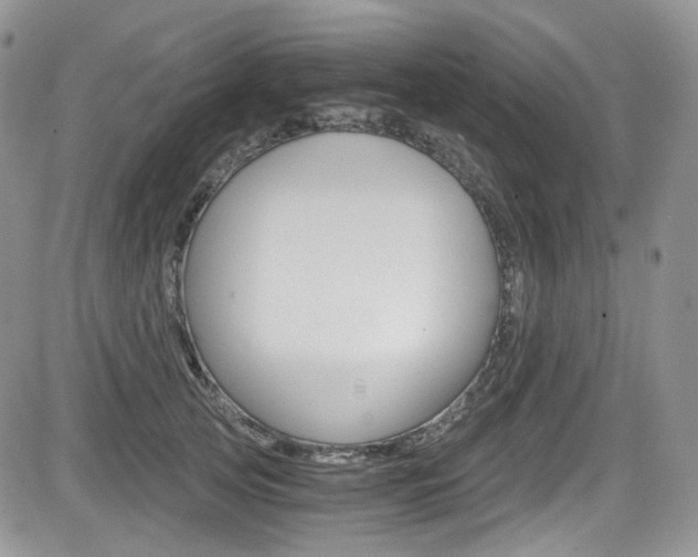 X0000084530753200702230838