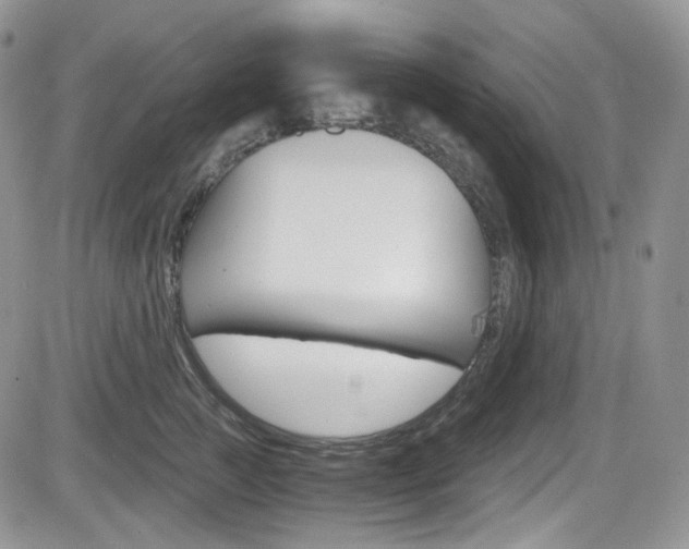 X0000084530761200702230838
