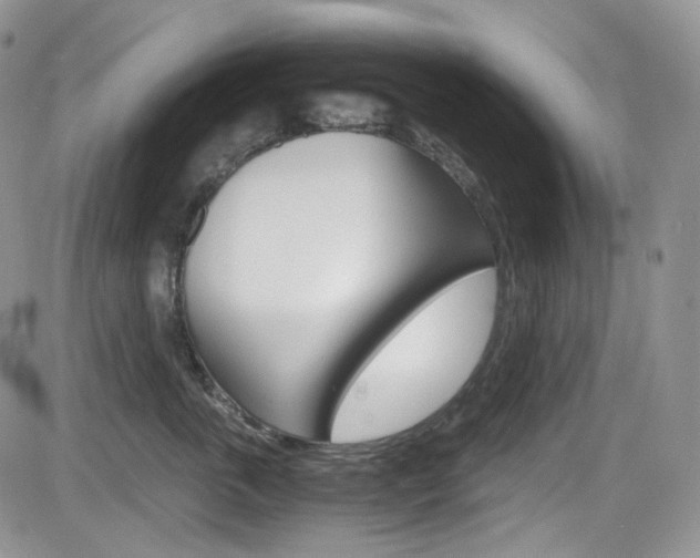 X0000084530763200702230838