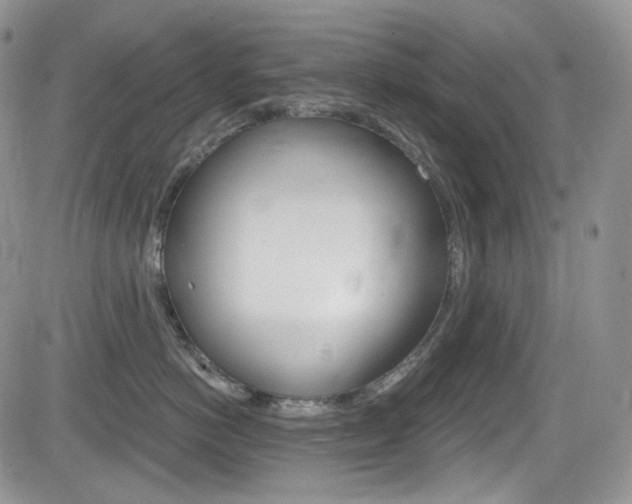 X0000084530766200702230838