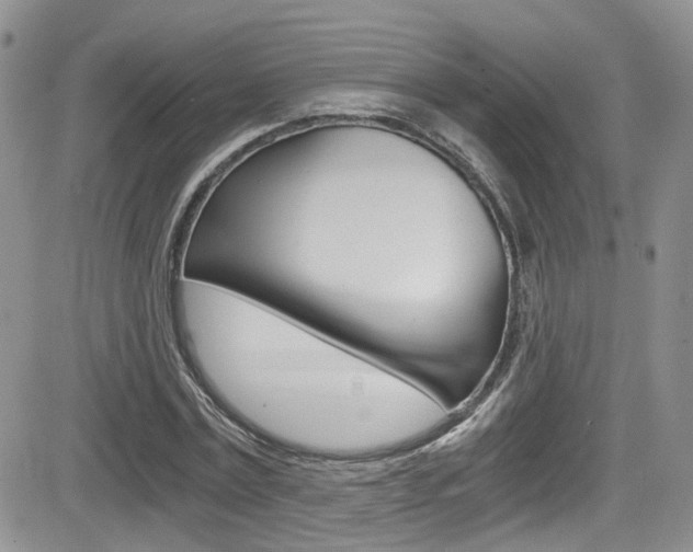 X0000084530779200702230837