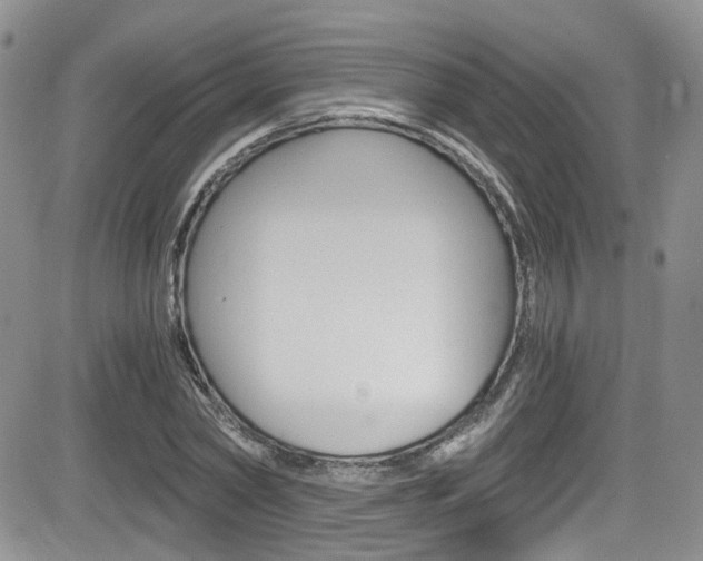 X0000084530782200702230837
