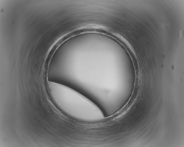 X0000084530783200702230837