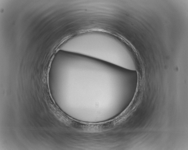 X0000084530785200702230837