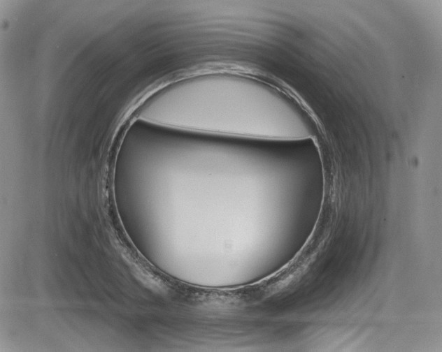 X0000084530786200702230837