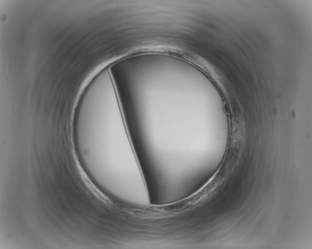 X0000084530795200702230837