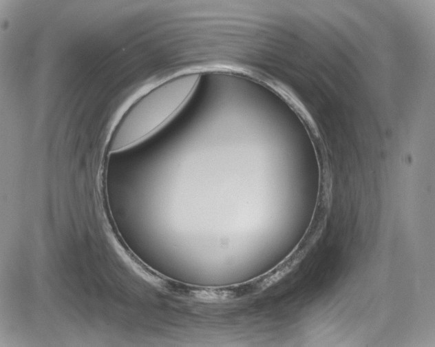 X0000084530805200702230837
