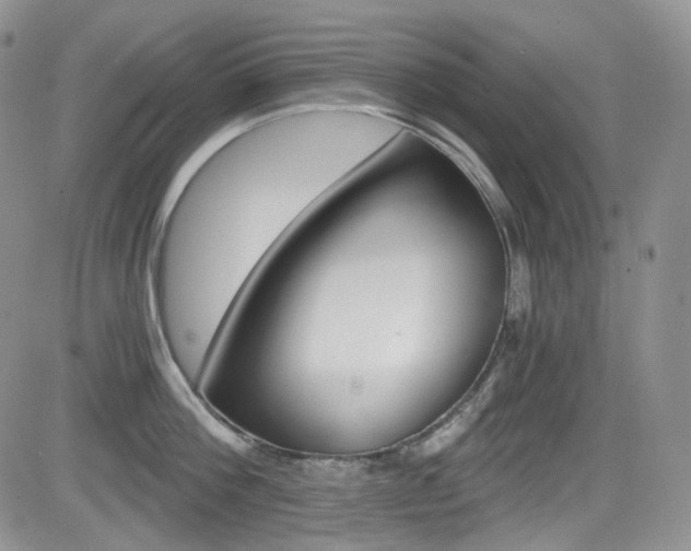 X0000084530812200702230837