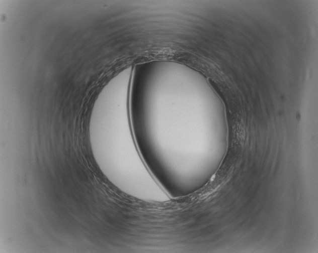 X0000084530818200702230836
