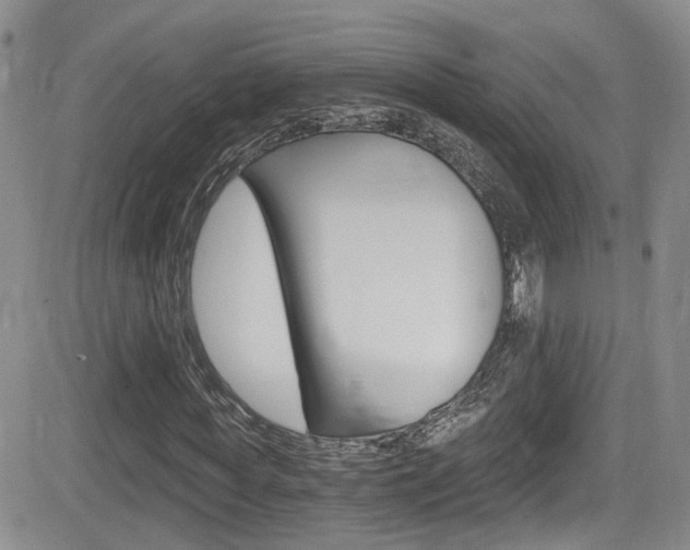 X0000084530819200702230836