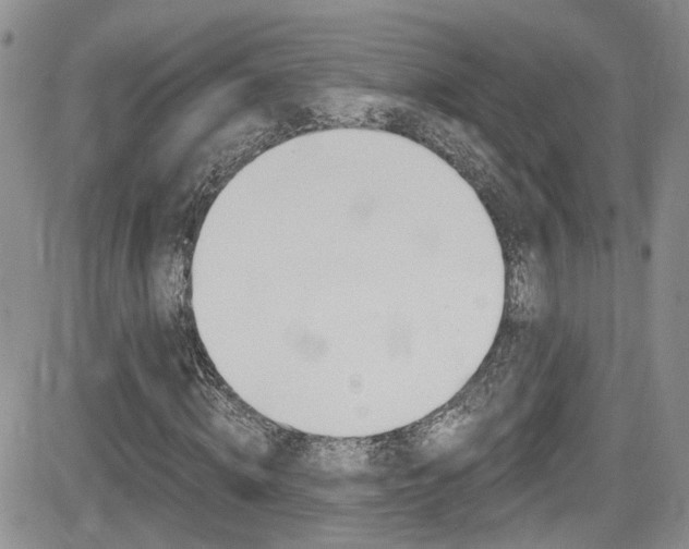X0000084530820200702230836