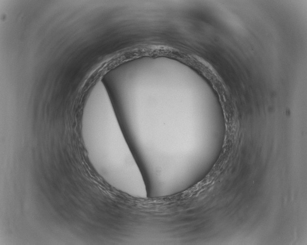 X0000084530823200702230836