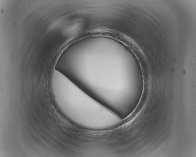 X0000084530825200702230836