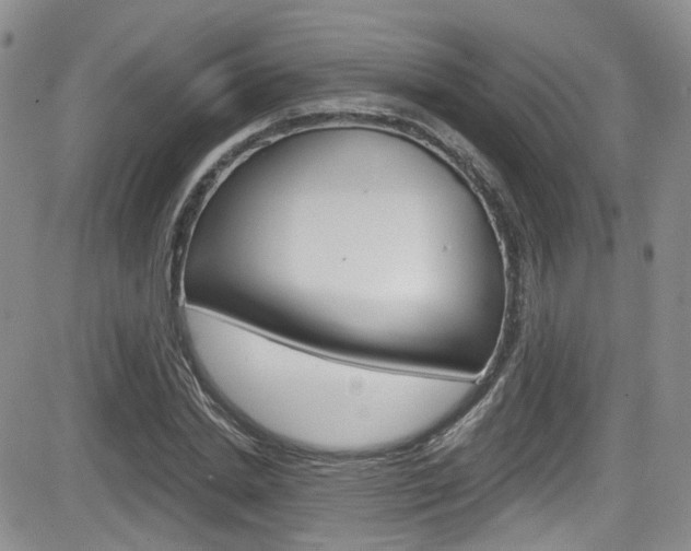 X0000084530830200702230836