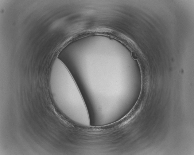 X0000084530833200702230836
