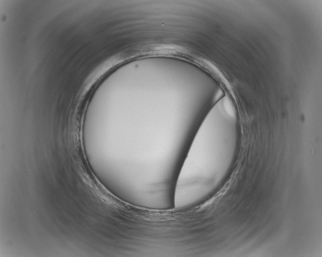X0000084530835200702230836